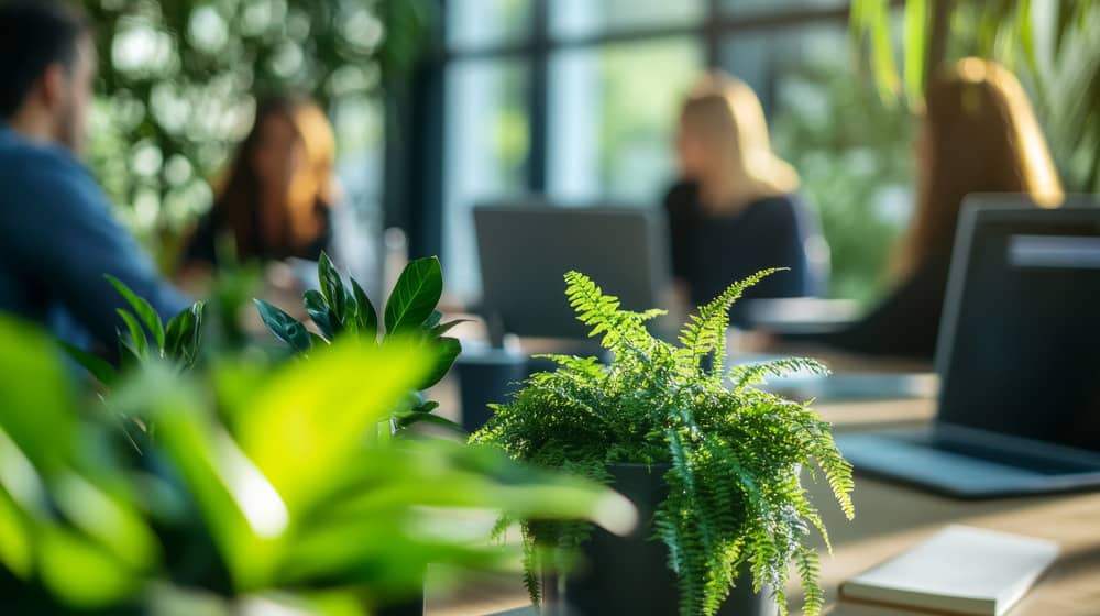 Des personnes travaillant sur leurs ordinateurs dans une salle de réunion avec des plantes en premier plan. Établissements de Santé.