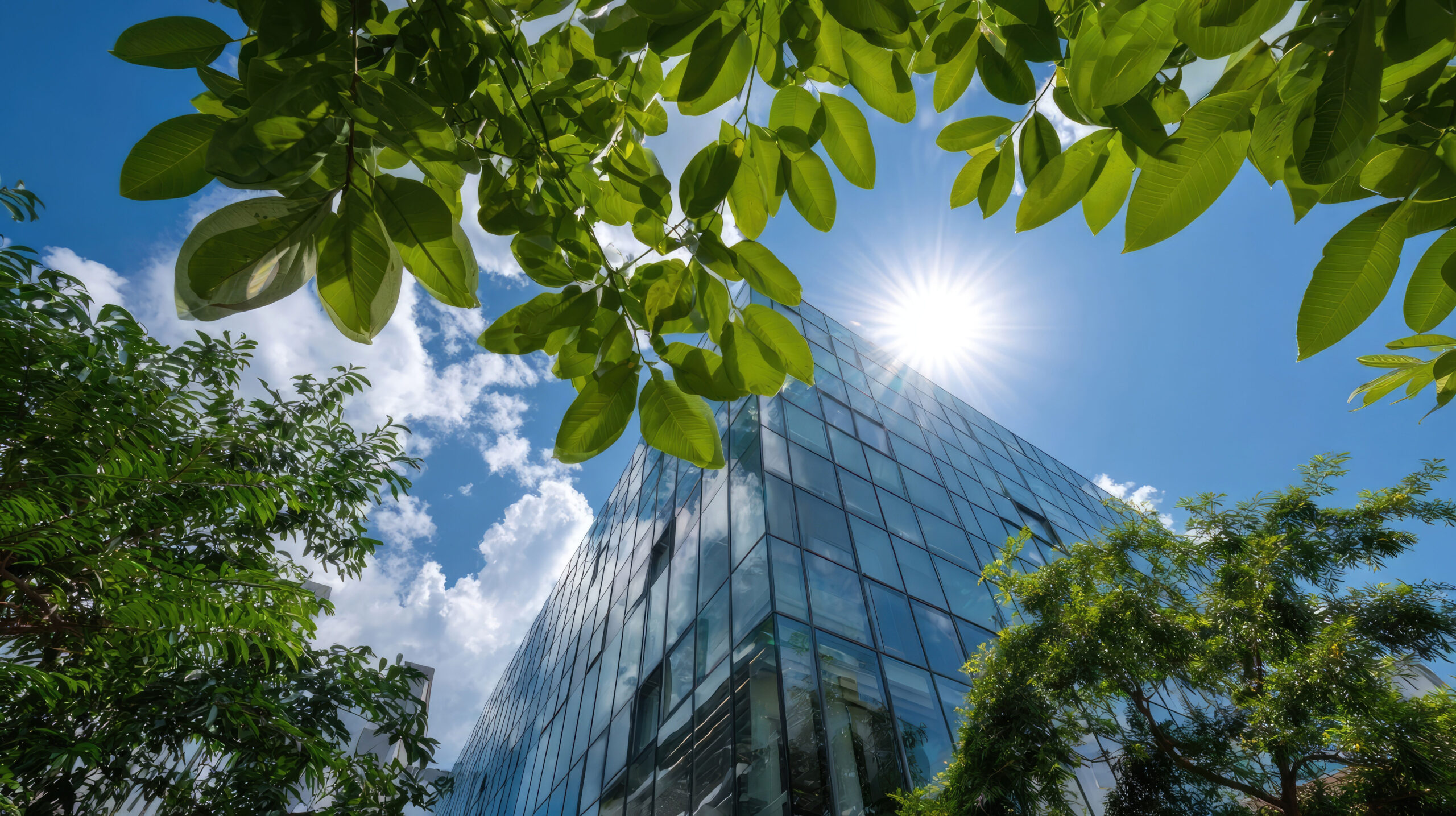 immobilier tertiaire